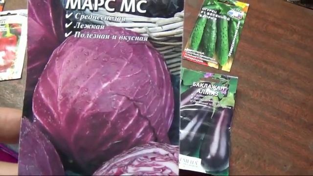 8/20 Когда начинать сеять и высаживать в грунт овощную рассаду смотреть онлайн