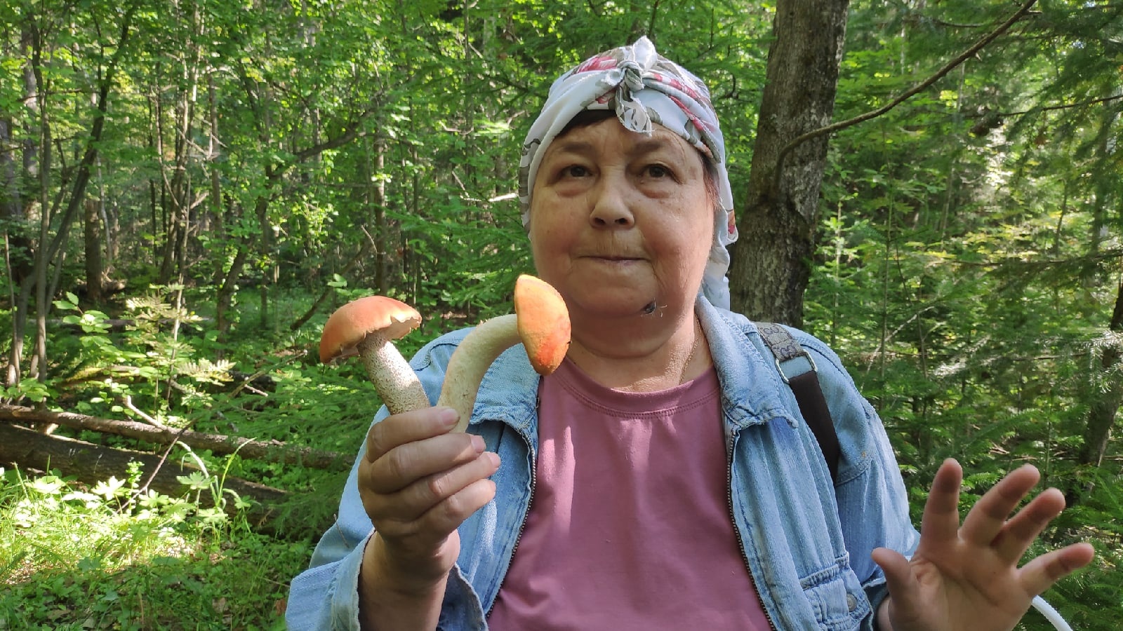 Грибы начала июля, тихая охота. смотреть онлайн