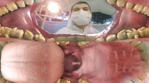 Colgate Experiencia 360