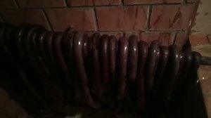 Бизнес кровяная колбаса в домашних условиях