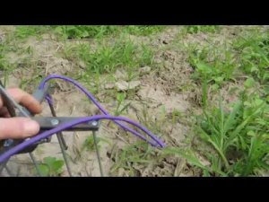 Как поймать крота. Кротоловка. Как избавиться от кротов.Кроты на участке. Кротобой. Видео № 7.