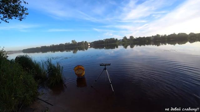 Река Луга. РЫБАЛКА С ДЕТЬМИ?!! ЛОВИМ НА ФИДЕР!! ЛЕСНАЯ ПиЦЦА!! смотреть онлайн