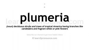 How to pronounce Plumeria | English pronunciation