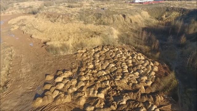 Песчаный карьер вблизи деревни Загорье Солнечногорского района