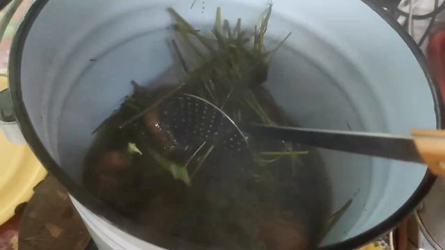 Как правильно варить раков. смотреть онлайн