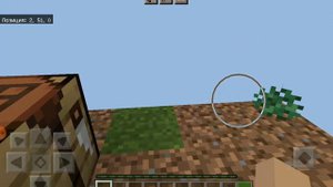 играю в minecraft на карте 1 блок. 1#