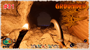 Grounded #31 Вход к поленнице