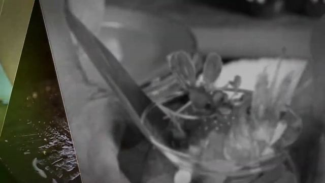 Ресторан Рыба Мечты смотреть онлайн