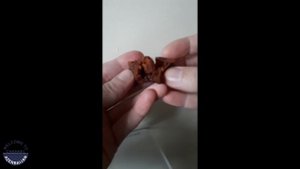 Что такое мушмула и как ее едят?