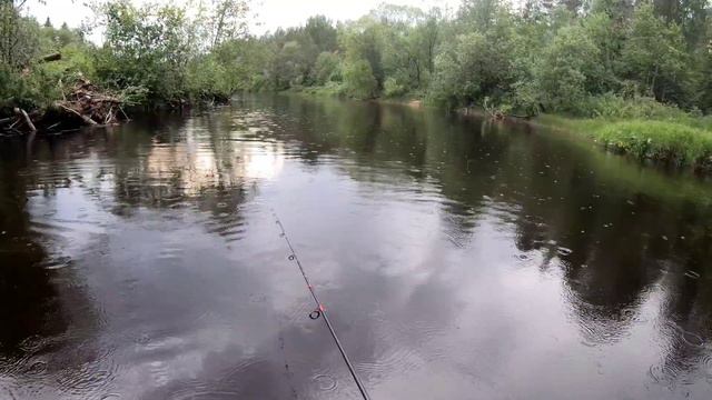 Сплав по малой речке. Рыбалка на поплавок смотреть онлайн