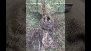 Раскопки ВОВ, Черные копатели