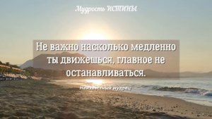 Жаль, НЕ ПОНИМАЛ этого РАНЬШЕ! Цитаты из жизни о жизни и людях, которые меняют сознание.