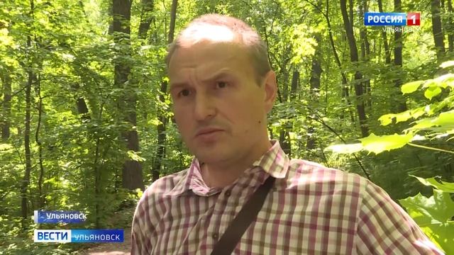 Откуда в Винновской роще землянки времен ВОВ и почему чернила растут на дубовых листьях