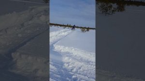 Буран АДЕ и снегоход СКАНДИК