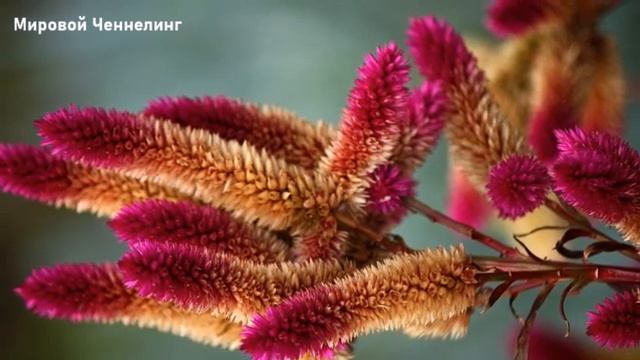 СИНХРОНИЗАЦИЯ  с энергиями нового 2023 года
