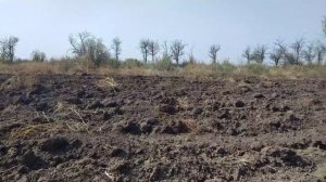 ПОИСК МОНЕТ МЕТАЛЛОИСКАТЕЛЕМ НА ТАТАРСКОМ ПОСЕЛЕНИИ. КОП 2021. НАХОДКИ С ФОРТУНА ПРО 2.