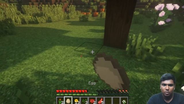 Minecraft Episode 1 Tamil Java Edition | Story Gamer Tamil | SGT смотреть онлайн