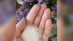 Денежный заговор на сахар.Положи Монетку в Сахарницу. Действенный заговор для привлечения денег