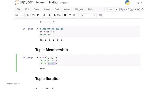 Master Tuples in Python: A Complete Guide for Beginners