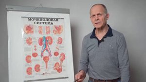 Ишемия аорты А.Т.Огулов