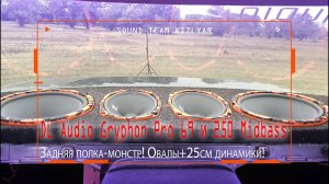 Задняя полка-монстр! Овалы+25см динамики! DL Audio Gryphon Pro 69 и 250 Midbass в Lada