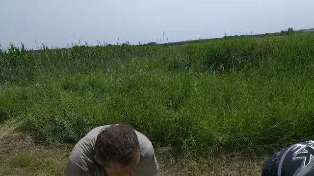 тюкуем сіно ЮМЗ , мтз 82.1 тягне, пресс подборщік sipma тюкуе 23 июня 2021 г. смотреть онлайн