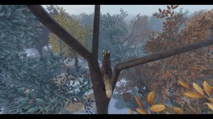 Путеводитель по деревьям ( 5 выпуск ) - трёх ярусное дерево. Коты Воители в Роблокс.