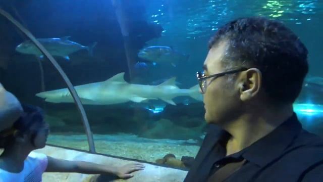 Океанариум Астана Казахстан. Астанадағы теңіз балықтарын тамашалау. #астана #океанариум #казахстан смотреть онлайн