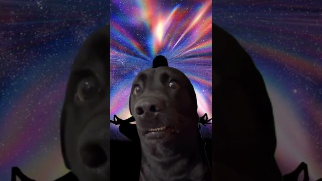 Что дают практики? смотреть онлайн