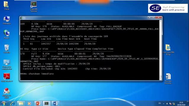 [DBA II ORACLE OCP] CH7 Utiliser RMAN pour procéder à une récupération смотреть онлайн