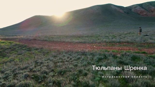 Александровский грабен и Большое Богдо смотреть онлайн