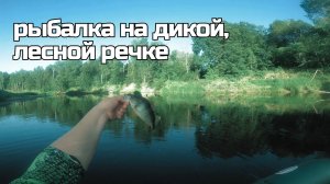 Дикие места. Рыбалка на лесной речке. Сплав от одной деревни до другой.
 #AWEES #рыбалка