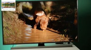 Видео обзор телевизора Samsung UE48JU7000