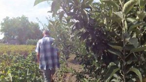 🏡Обзор нашего дома на юге, Краснодарский край, Новоминская Переезд на юг июль 2020🍎