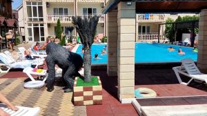 #НОВОМИХАЙЛОВСКИЙ 2022, ОТЕЛИ С БАССЕЙНОМ. ЧАСТЬ ПЕРВАЯ.