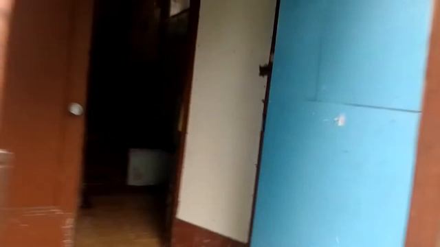 давайте поможем братьям меньшим смотреть онлайн