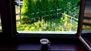 Август. Кофейная пена.