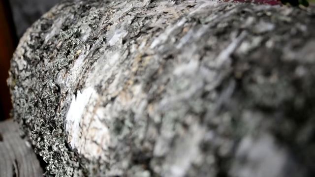 ШАШЛЫК ИЗ БАРАНИНЫ(САМЫЙ ПРОСТОЙ И ВКУСНЫЙ МАРИНАД ДЛЯ ЛЮБОГО МЯСА) смотреть онлайн