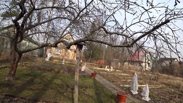 What will Most Russians Do in Summer 2020 / Dacha Community Walk (March 29, 2020) смотреть онлайн