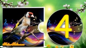 Голоса птиц - Пение птиц - как поёт щегол CD 4