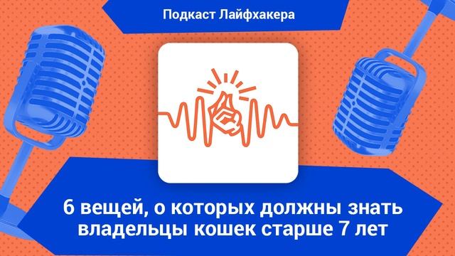 6 вещей, о которых должны знать владельцы кошек старше 7 лет смотреть онлайн