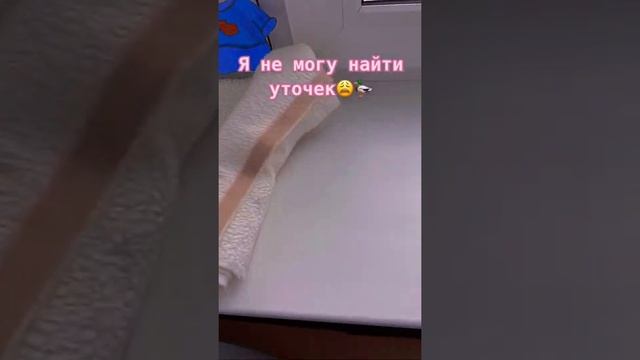 ??Самые Крутые УТОЧКИ ЛАЛАФАН ИЗ ТИК ТОКА ??