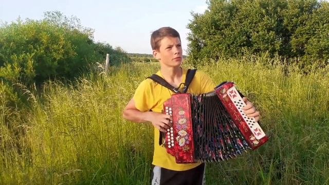 Гармонь тульская 301м