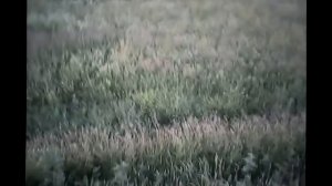 МОДЕЛЬ-ВЕРТОЛЁТ - Т 40