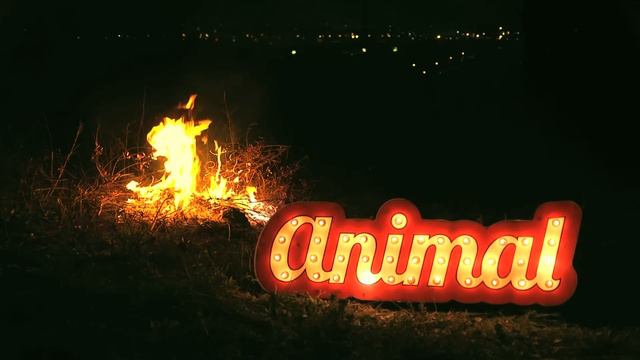 Animal - Detalls смотреть онлайн