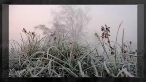 Выпал Снег...