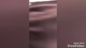 Литвину разбили голову кружкой?!?!? Видео о том как все было, с места события!!!!