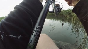 НАШЁЛ ОГРОМНУЮ СТАЮ ОКУНЯ НА МЕЛКОВОДЬЕ! ЛОВЛЮ ЕЁ ПОПЛАВОЧНОЙ УДОЧКОЙ.ПОКЛЁВКИ КРУПНЫМ ПЛАНОМ!