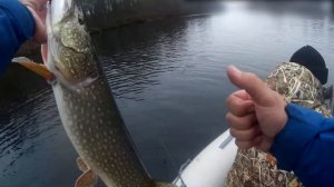 Трофейная щучья рыбалка с крупными приманками Savage Gear / ЩУКА на СВИМБЕЙТЫ