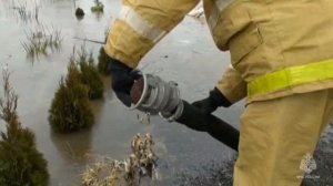 Таяние снега привело к подтоплению жилого дома в Белгородской области